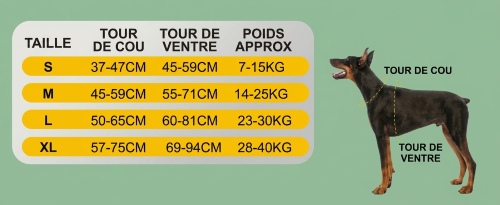 harnais en T taille ajustement grandeur tableau chien