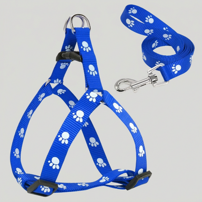 harnais en Y bleu moyen imprimé