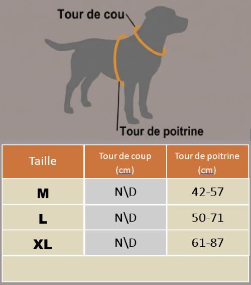harnais en Y tableau grandeur chien
