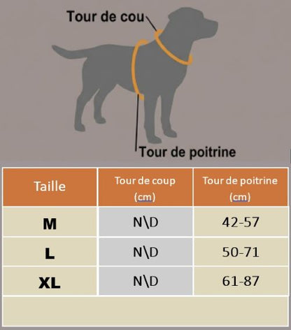 harnais en Y tableau grandeur chien