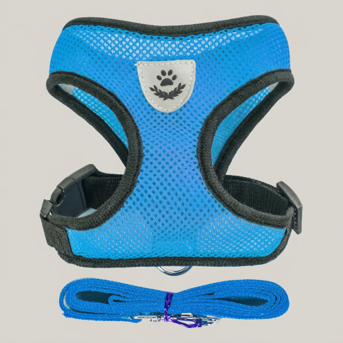 harnais petit chien bleu confortable réfléchissant