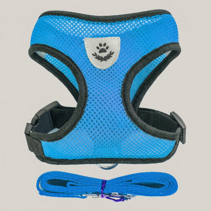 harnais petit chien bleu confortable réfléchissant