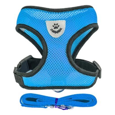 harnais petit chien bleu confortable réfléchissant