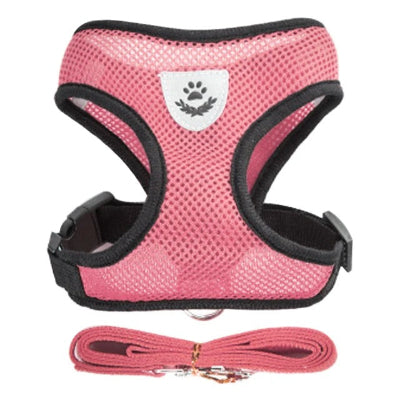 harnais petit chien laisse rose libération rapide