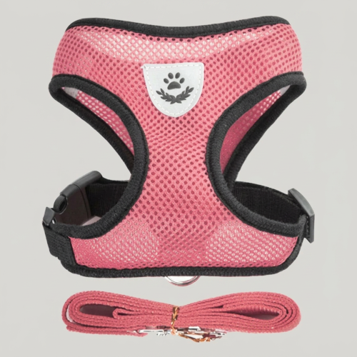 harnais petit chien laisse rose libération rapide