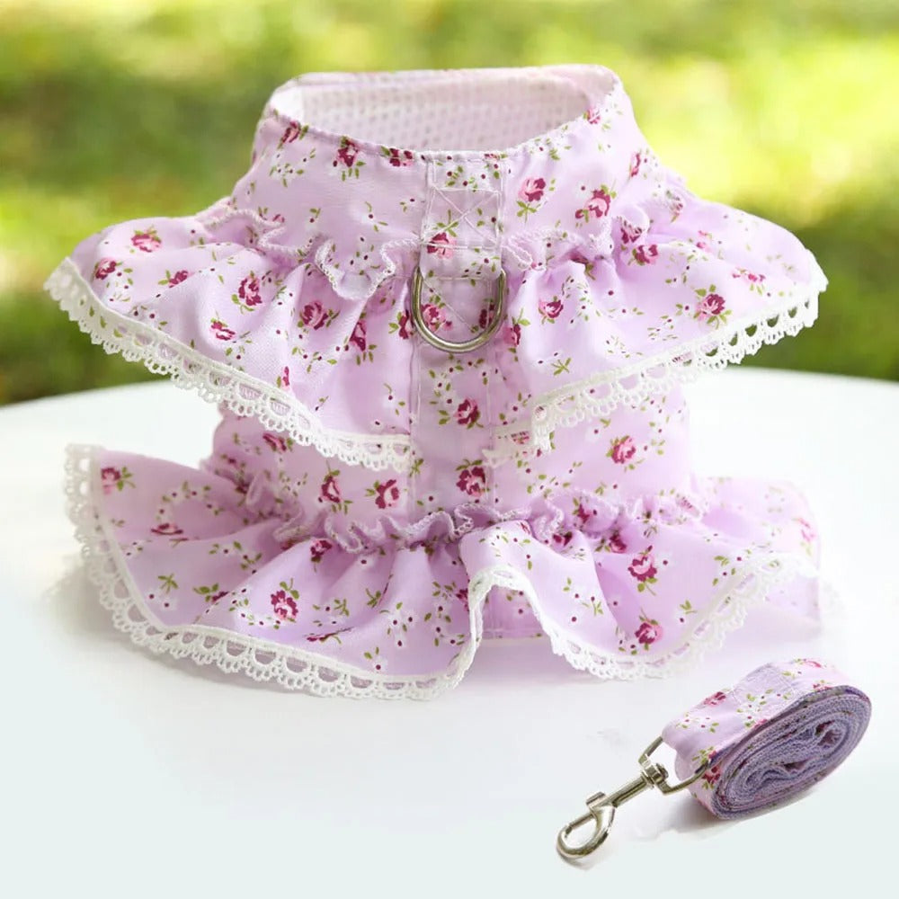 harnais petit chien mauve robe laisse