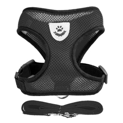 harnais petit chien noir laisse gilet respirant