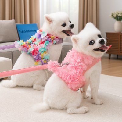 harnais petit chien robe dentelle laisse