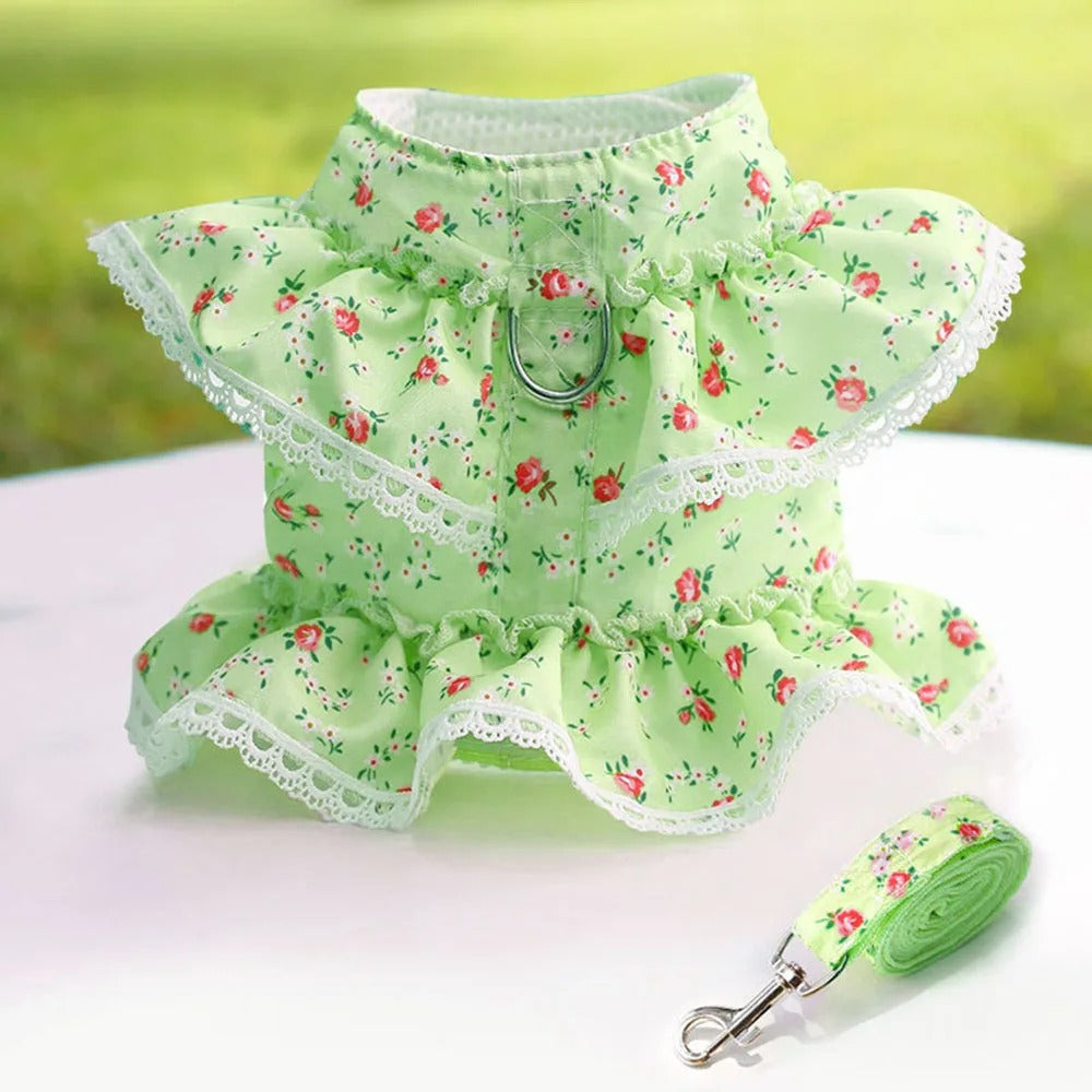 harnais petit chien robe dentelle verte