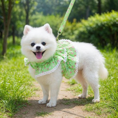 harnais petit chien robe laisse fleur confort