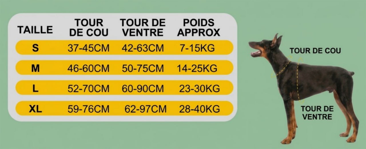 harnais pour chien anti traction tableau grandeur