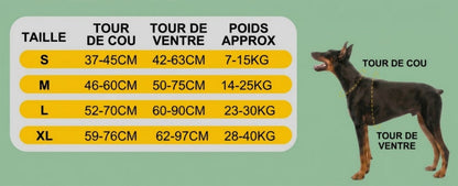 harnais pour chien anti traction tableau grandeur