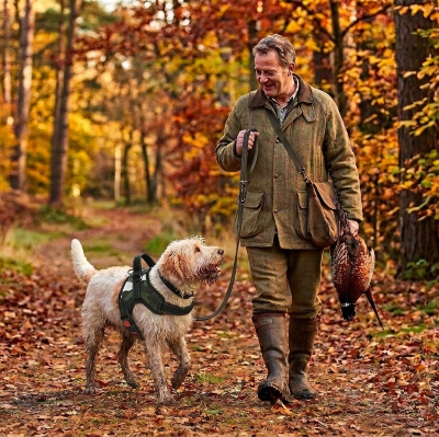 harnais pour chien coutures réfléchisantes