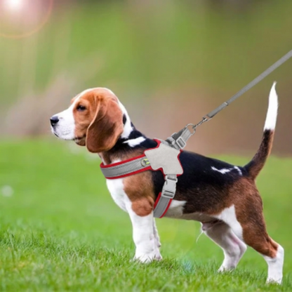 harnais pour chien petite grande taille réfléchissant