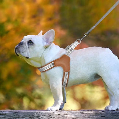 harnais pour chien réfléchissant anti traction quick release
