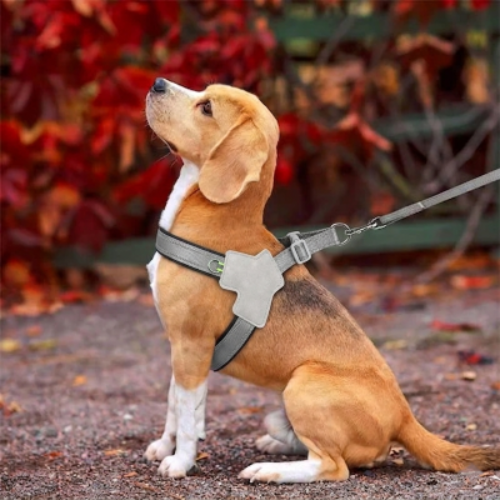 harnais pour chien réfléchissant anti traction petite grande taille