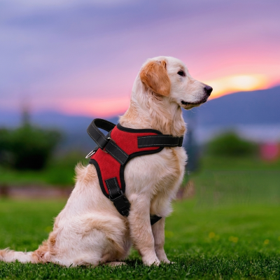 harnais pour chien réflex sécure nylon poignée