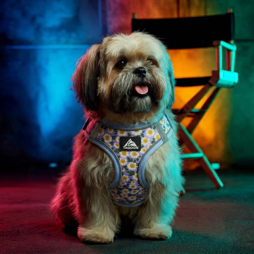 harnais pour chiens fleur printanière nylon
