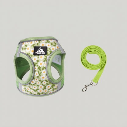 harnais pour chiens vert nylon ensemble laisse