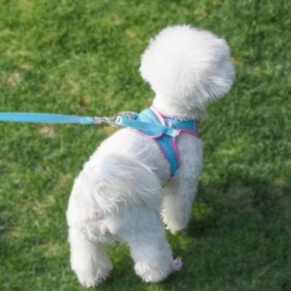 harnais pour chiot confort nylon respirant laisse