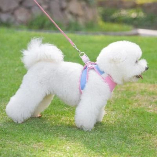 harnais pour chiot ensemble laisse velcro ajustable