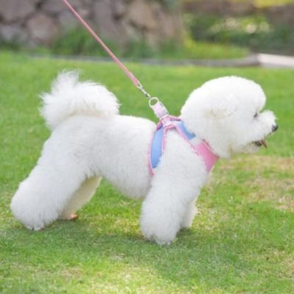 harnais pour chiot ensemble laisse velcro ajustable