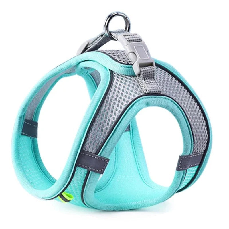 harnais pour petit chien bleu ajustable