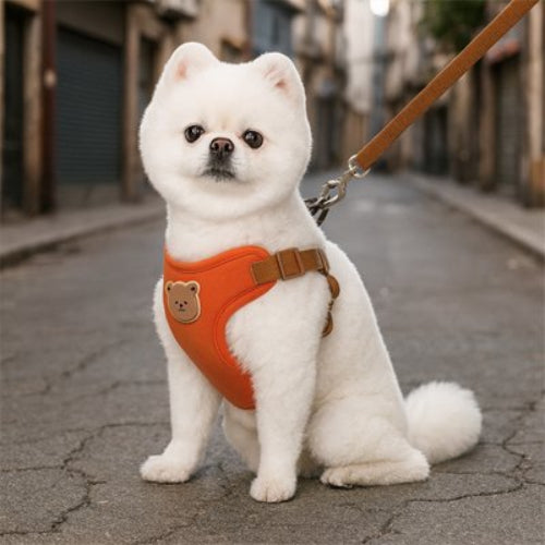 harnais pour petitchien chiot toutes saisons polyester
