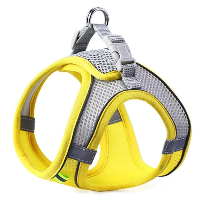 harnais pour petit chien confort ajustable velcro