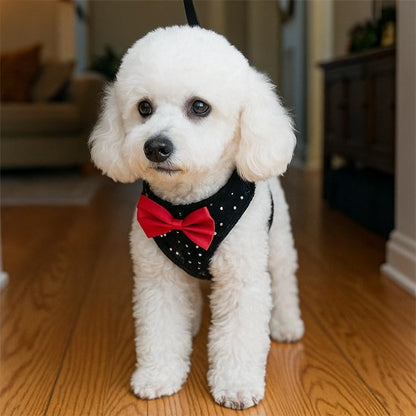 Harnais pour petit chien diamant et papillon
