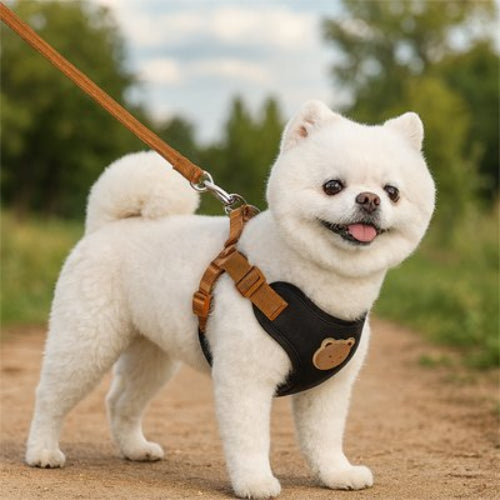 harnais pour petit chien moyen polyester sangle respirante