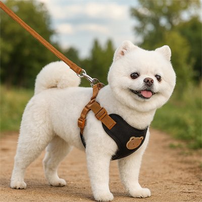 harnais pour petit chien moyen polyester sangle respirante