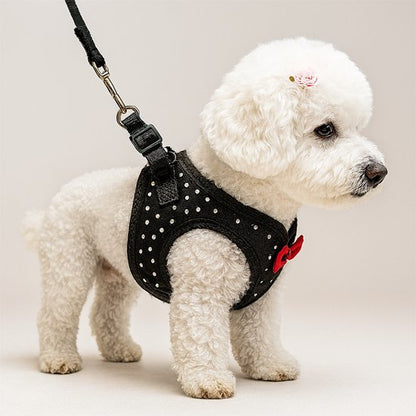 Harnais pour petit chien nylon attache clip 