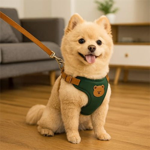 harnais pour petit chien réglable repirant antifuite