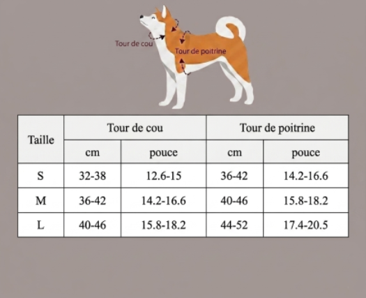 harnais pour petitt chien tableau grandeur deux
