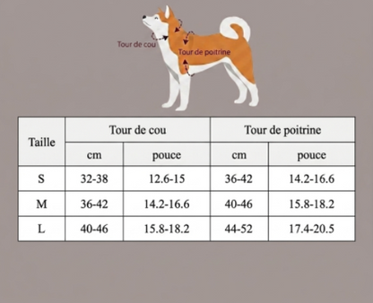 harnais pour petitt chien tableau grandeur deux