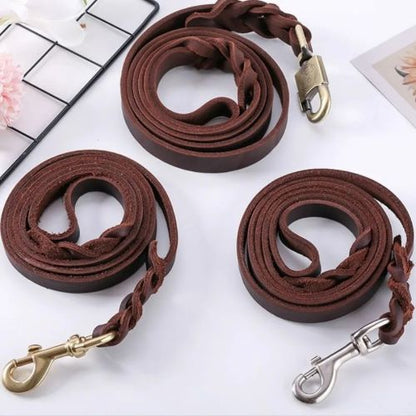 laisse chien cuir robuste crochet métal