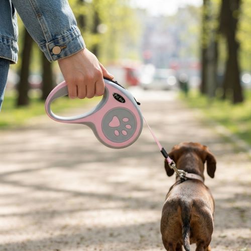 laisse chien enrouleur nylon extensible automatique