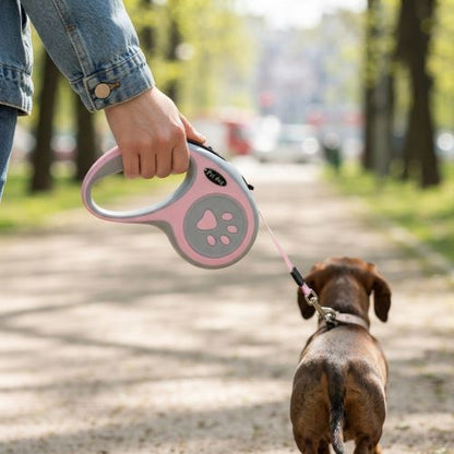 laisse chien enrouleur nylon extensible automatique