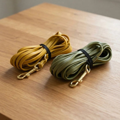 Longe pour chien avec mousqueton laiton anticorrosion