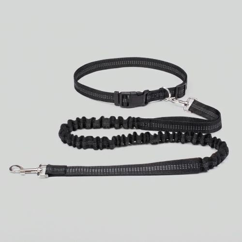 laisse main libre pour chien noir nylon