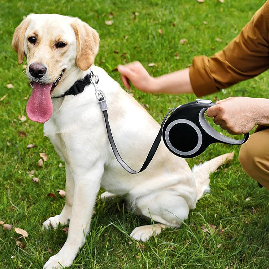laisse pour chien rétractable  5m réglable ergonomique