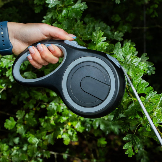 laisse pour chien rétractable 5m automatique grand chien