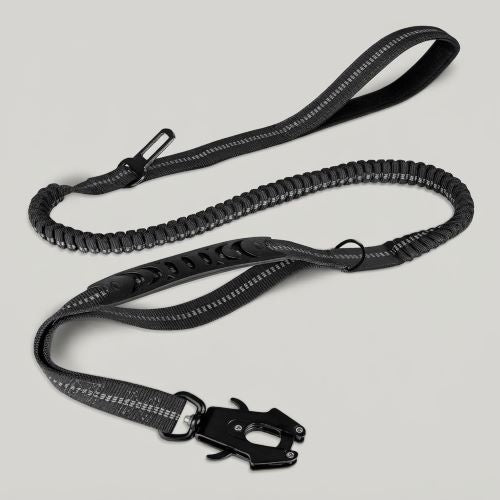 laisse pour chien noir double poignée