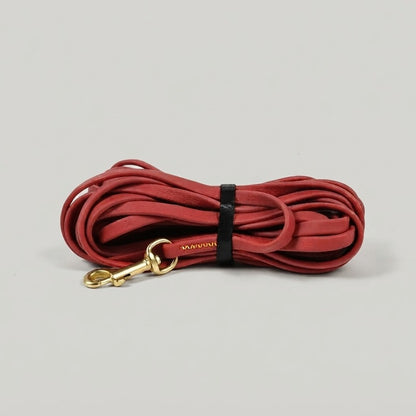 Longe biothane rouge pour l'éducation canine et le rappel