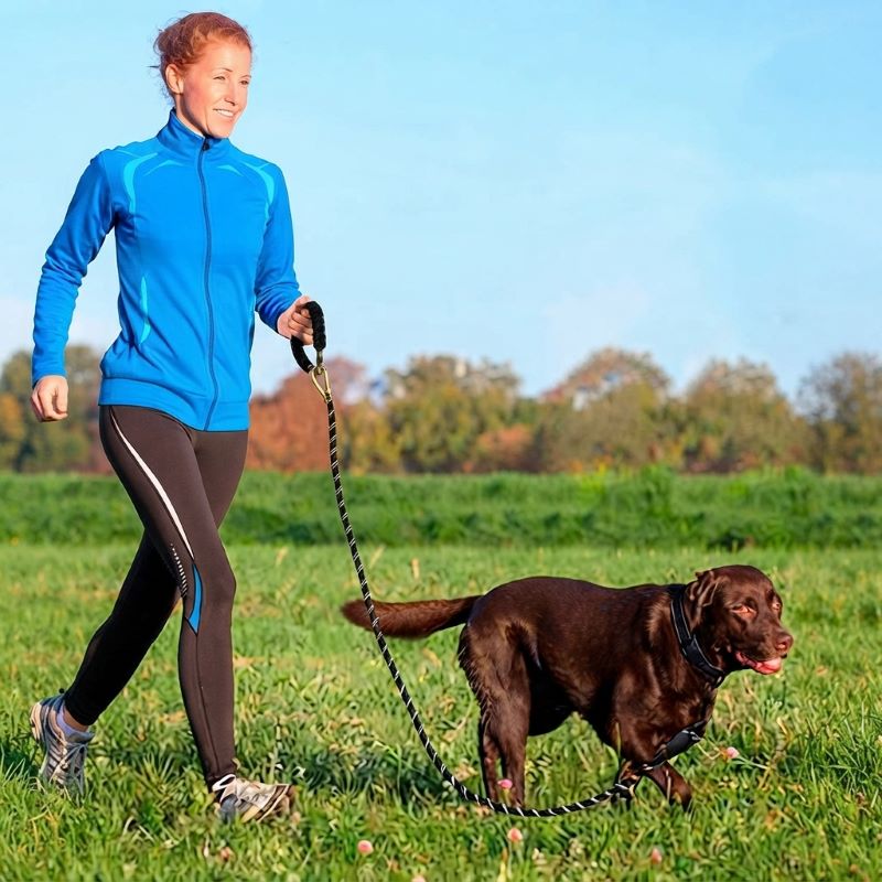 longe pour chien femme promenade en campagne