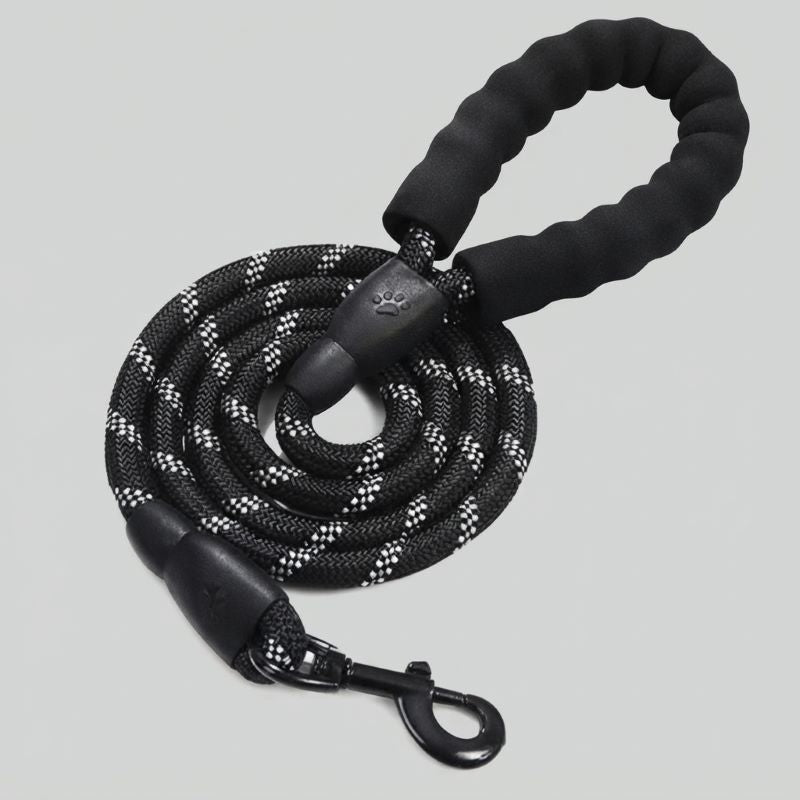 Longe pour chien coloris noir