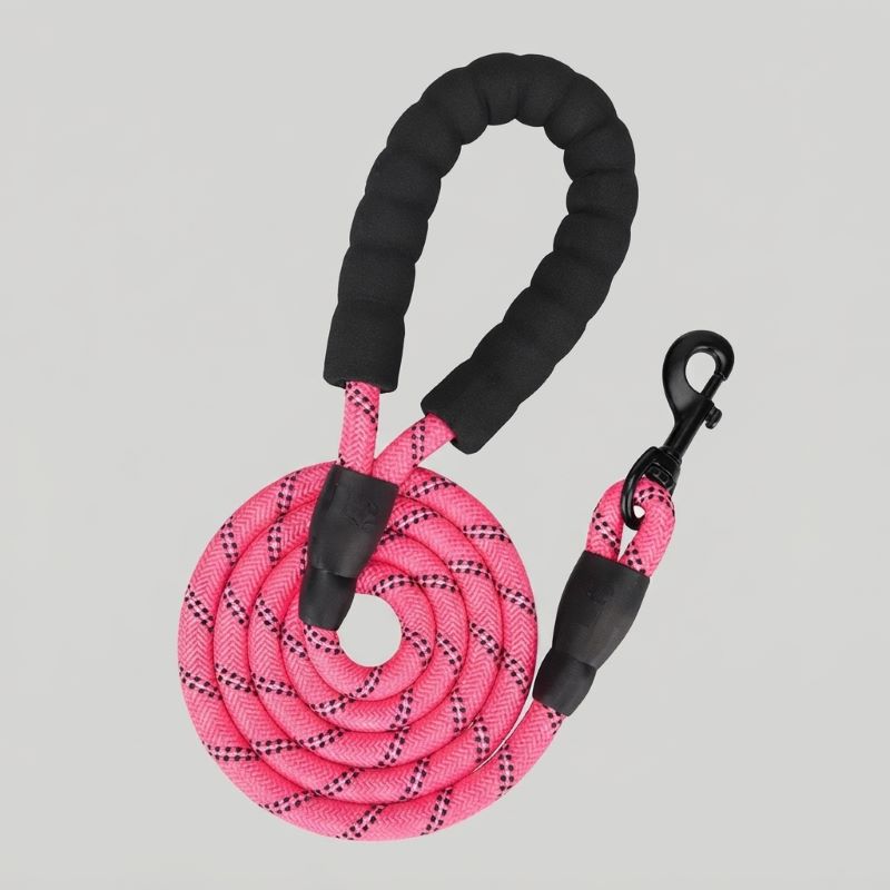 Longe pour chien coloris rose
