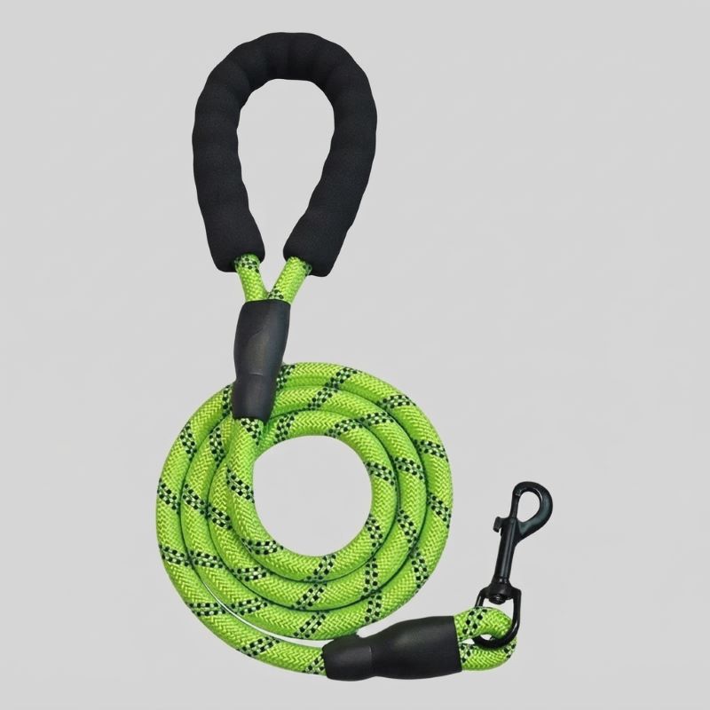 Longe pour chien coloris vert