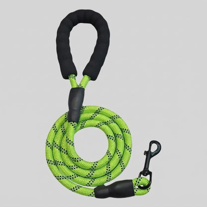 Longe pour chien coloris vert